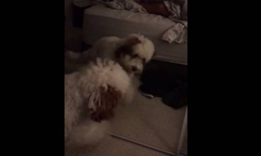 Όταν βλέπεις εχθρούς εκεί που δεν υπάρχουν