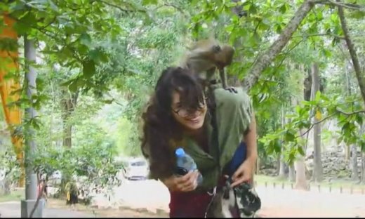 Μια κοπέλα απολαμβάνει την παρέα μαϊμούς που σκαρφαλώνει πάνω της για να πιει νερό