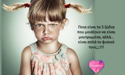 5 ζώδια που συνεχώς μοιάζουν μουτρωμένα αλλά... δεν είναι