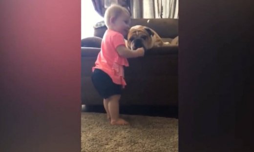 Όταν τα μωρά παίζουν με τα κατοικίδια τους!