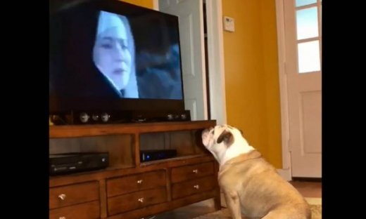 Αυτός είναι ο πιο φανατικός τηλεθεατής Αμερικάνικων σειρών