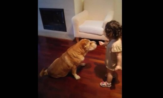 Πόσο τρυφερό! Αυτό το μωρό ταΐζει το σκυλάκι του στο στόμα