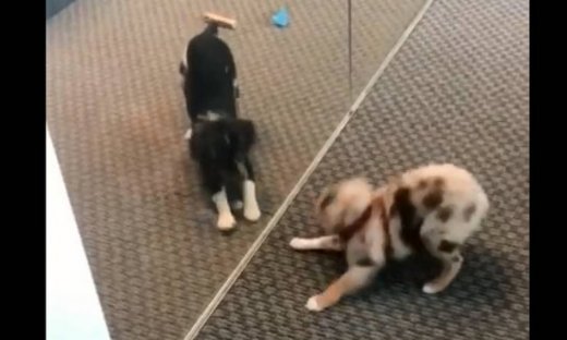 Το πιο χαριτωμένο δίδυμο και τα παιχνίδια πίσω απο την πόρτα