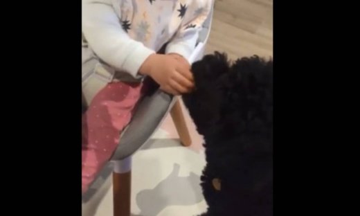 Το απίστευτο γέλιο ενός μωρού την ώρα που ταΐζει στο σκυλάκι του