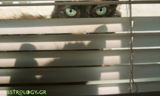 Ήρθε η ώρα να τα πεις όλα... με το ζόρι!