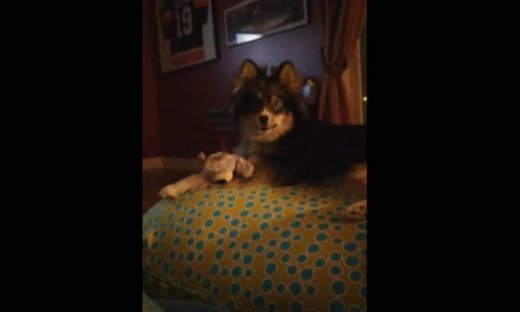 Κι όμως του λέει «σ' αγαπώ»