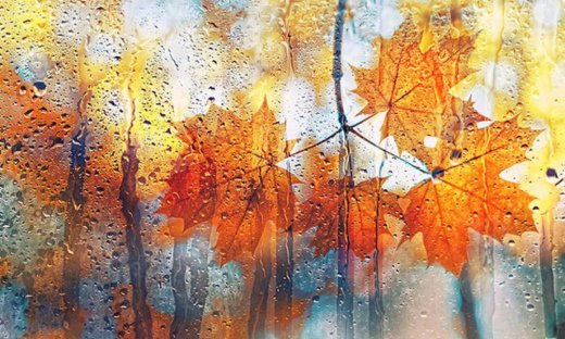 Ημερήσιες Προβλέψεις για όλα τα Ζώδια 21/10