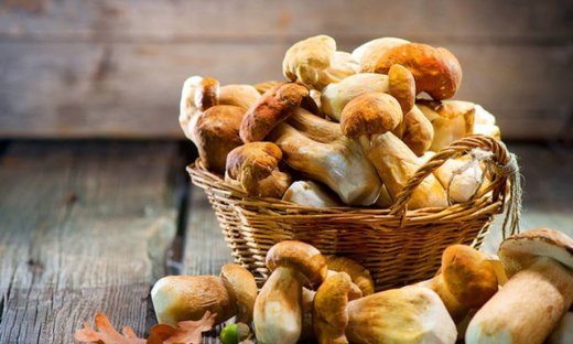 Ημερήσιες Προβλέψεις για όλα τα Ζώδια 26/10