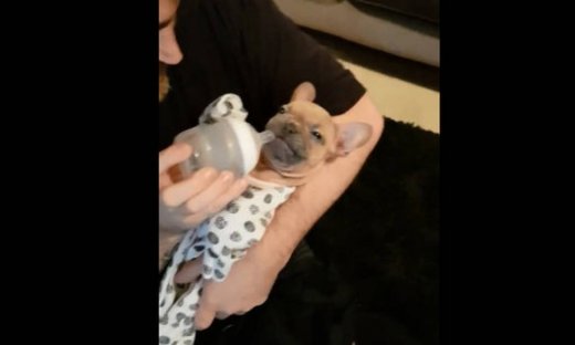 Το πιο τρυφερό βίντεο της ημέρας!