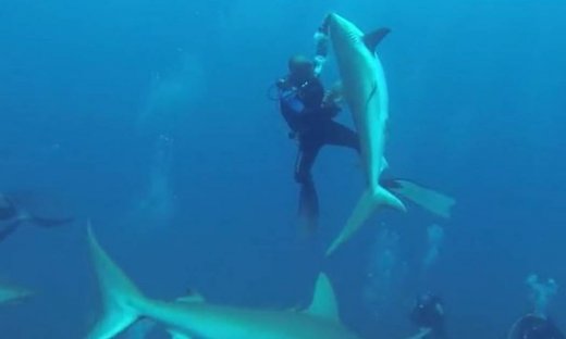 Αυτός ο δύτης χορεύει στο βυθό με καρχαρίες! Απίστευτες εικόνες! (Video)