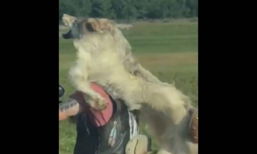 Απίστευτο! Δείτε τι κάνει αυτός ο μηχανόβιος! (Video)