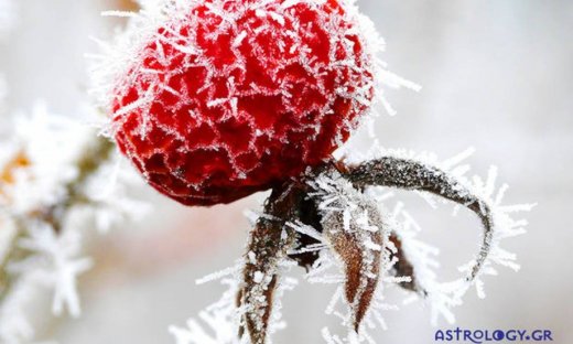 Ημερήσιες Προβλέψεις για όλα τα Ζώδια 08/12