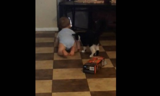 Όταν η γάτα ακολουθεί τα πρώτα βήματα του μωρού!