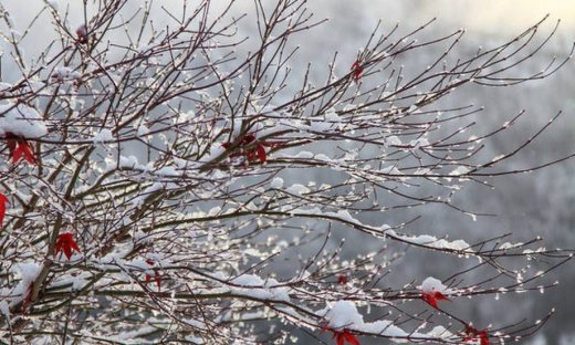 Η ΕΜΥ ενημερώνει: Με τι καιρό θα κάνουμε Χριστούγεννα