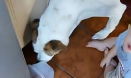 Αυτό είναι το πιο πονηρό μωρό που έχετε δει!