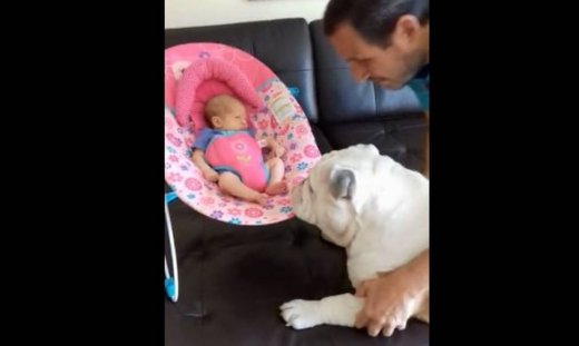 Το νεογέννητο μωρό μόλις μπήκε στο σπίτι και τα κατοικίδια το υποδέχτηκαν κάπως έτσι...