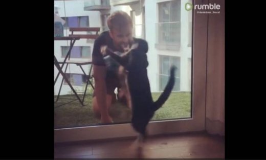 Πώς μία γάτα βοηθά το αφεντικό της να καθαρίσει τα τζάμια!