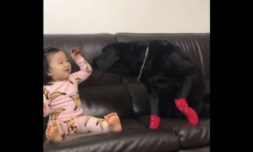 Θα λιώσετε! Ένα τρίχρονο κοριτσάκι ταΐζει το σκυλάκι της και μαζεύει τα ψίχουλα από τον καναπέ!