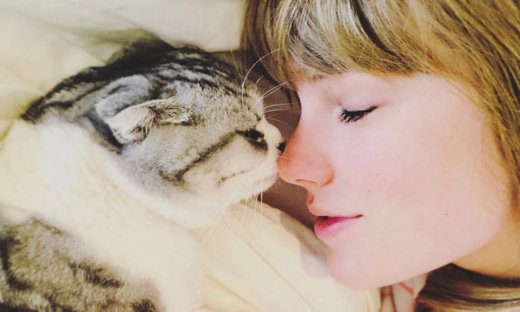 Αυτοί οι διάσημοι αγαπούν τις γάτες και δεν το κρύβουν!
