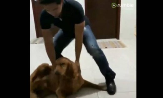 Αξιολάτρευτος! Δείτε την αντίδραση ενός σκύλου όταν βλέπει μετά από εννιά μήνες το αφεντικό του