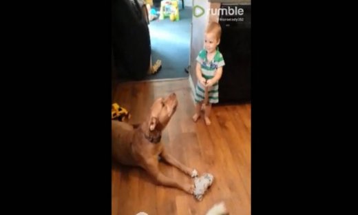 Απίστευτο! Το ατέλειωτο γρύλισμα ενός σκύλου μας άφησε άφωνους!