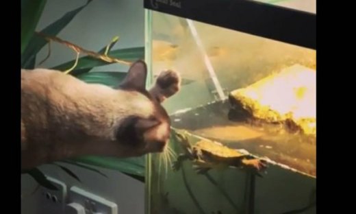 Μια τρυφερή σχέση!