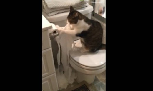 Είναι πραγματικά ατρόμητη! Σιχαίνεται το νερό αλλά…