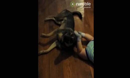 Τα απολαυστικά χάδια ενός μωρού στο σκύλο του!