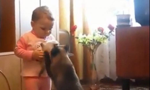 H Μάνα είναι μάνα ακόμα κι αν είναι…γάτα!