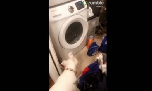 Δείτε πώς αντιδρά ένας σκύλος όταν για πρώτη φορά βλέπει πώς δουλεύει το πλυντήριο