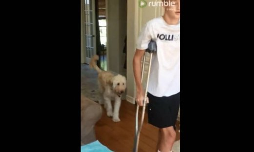 Συγκινητικό! Δείτε πώς αυτός ο σκύλος συμπαραστέκεται στον ιδιοκτήτη του