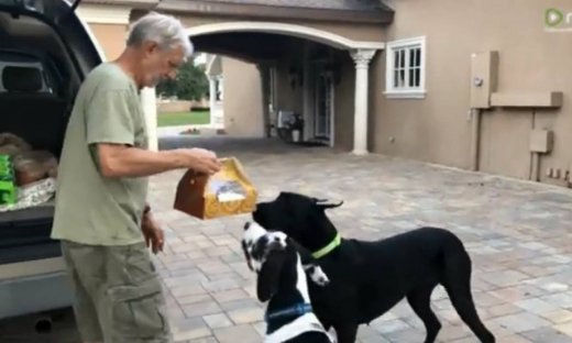 Κάτι δεν πήγε καλά με την παράδοση του κοτόπουλου