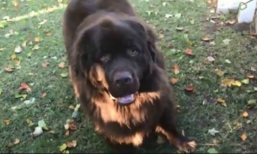 Η απίστευτη αντίδρασή του όταν του λένε να επιστρέψει στο σπίτι