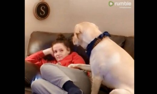 Αυτός ο σκύλος ζητάει την προσοχή της ιδιοκτήτριάς του