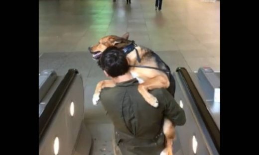 Αυτός ο σκύλος φοβάται τις κυλιόμενες σκάλες και η αγκαλιά του αφεντικού του τον σώζει