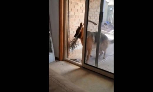 To καλό το παλικάρι ξέρει κι άλλο μονοπάτι!