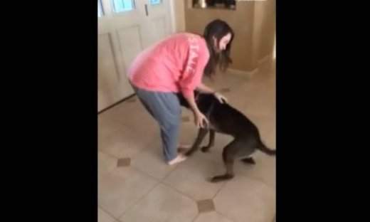 Αυτός είναι ο πιο παιχνιδιάρης σκύλος που έχετε δει!