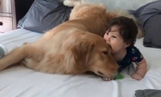 Τα όμορφα παιχνίδια του σκύλου με τη μπέμπα!