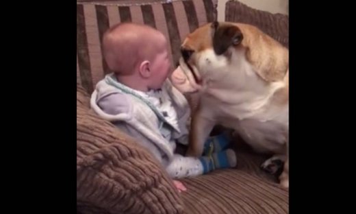 Το μωράκι δεν σταματάει να γελάει με τα χάδια του τετράποδου φίλου του