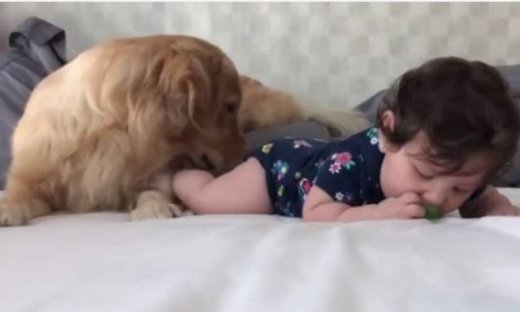 Κι όμως αυτός ο σκύλος είναι ο καλύτερος… "baby sitter"!