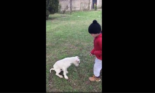 Αυτό το παιδί προσπαθεί να μάθει στον σκύλο του να… υπακούει!