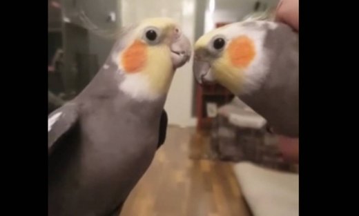 Θα λιώσετε! Πατέρας και γιος είναι αχώριστοι