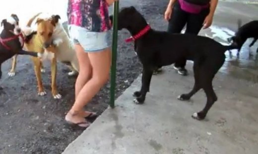 Κι όμως υπάρχει κάτι περίεργο σε αυτή την εικόνα! Το βλέπετε;