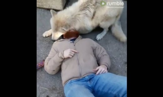 Ένας αγαπησιάρης… σκύλος!