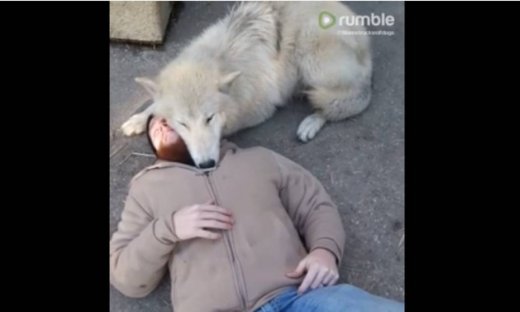 Απίστευτο! Χαρίζει χάδια στο αφεντικό του σαν μωρό