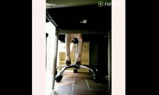 Δε φαντάζεστε πού κάθεται αυτός ο σκύλος για να είναι δίπλα στον ιδιοκτήτη του