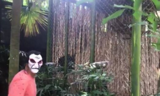 Δείτε τι κάνει αυτός ο άντρας με τη μάσκα στο ζωολογικό κήπο