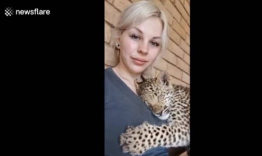 Δείτε τη μικρή λεοπάρδαλη που τρελαίνεται με τις αγκαλιές!