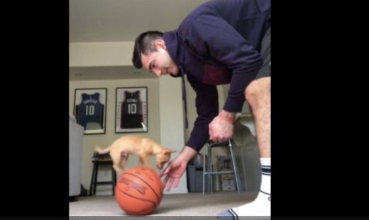 Αυτός ο σκύλος ετοιμάζεται για το NBA