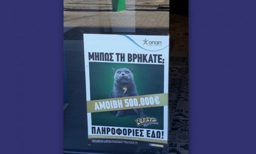 Kυνήγι σε όλη την Ελλάδα για μία γάτα με αμοιβή 500.000 ευρώ